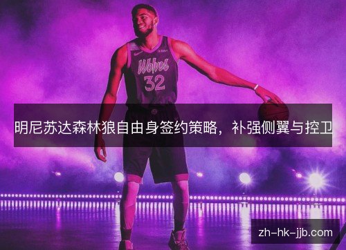 明尼苏达森林狼自由身签约策略，补强侧翼与控卫